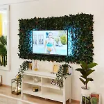 Apartament Sofia Seaside Mamaia Nord