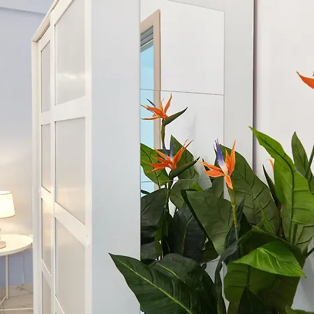 Sofia Seaside Mamaia Nord