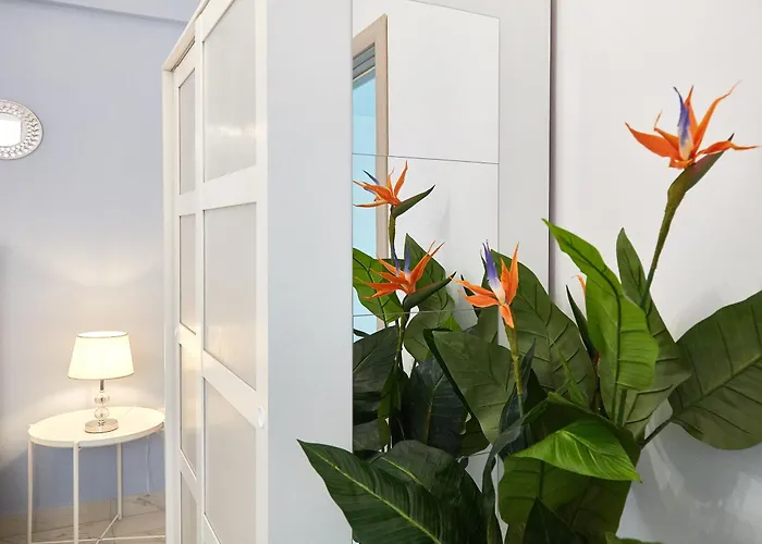 Sofia Seaside Mamaia Nord